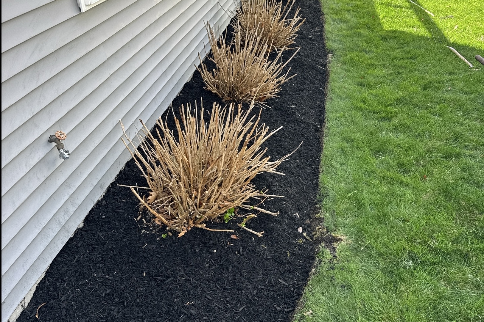 Clean freshly mulched landscape bed
