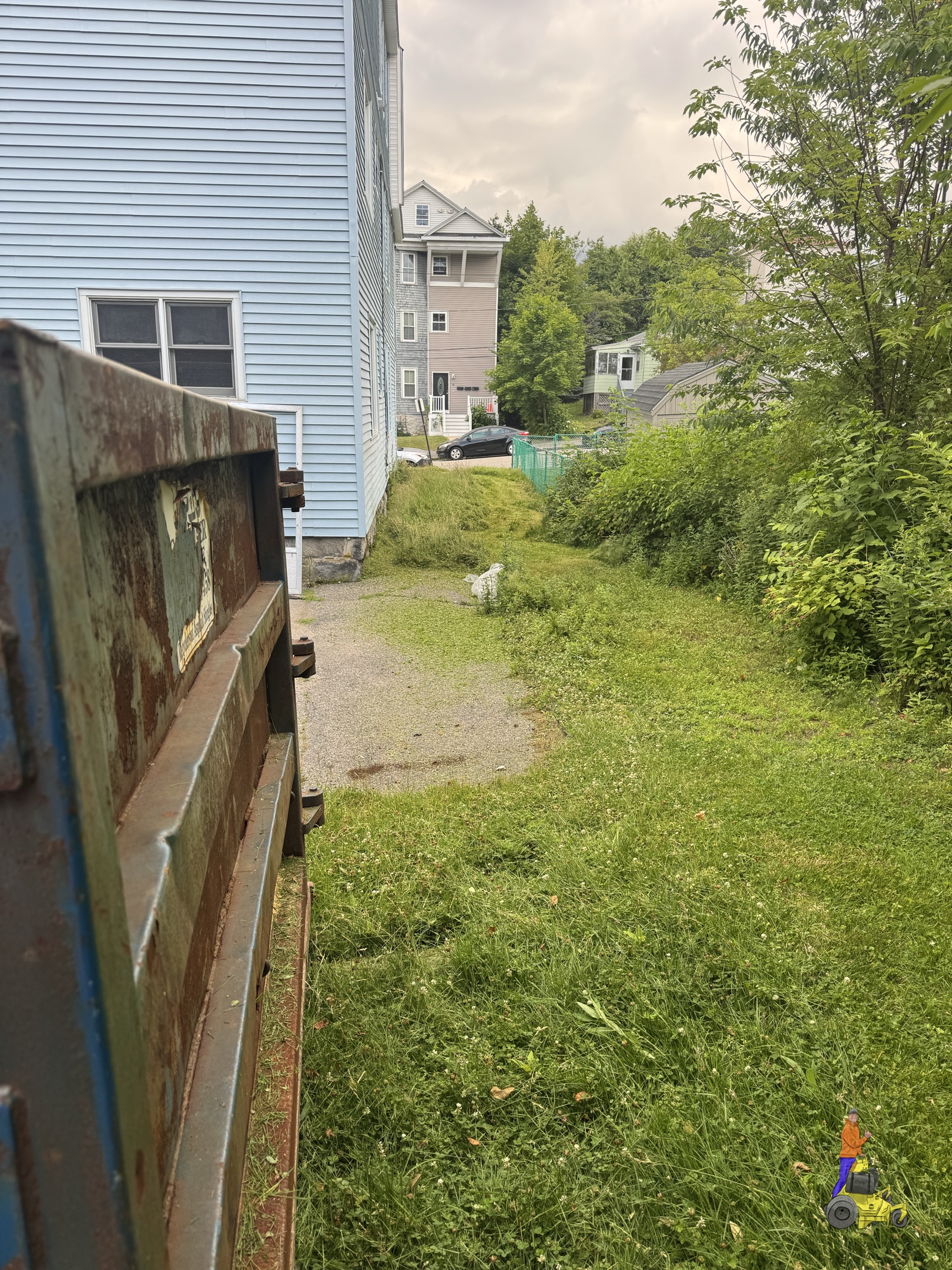 Overgrown side yard in Worcester before Nice Lawn Bro cleanup